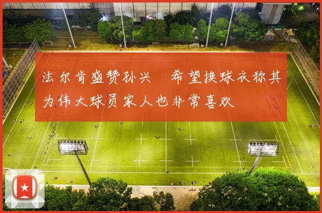 法尔肯盛赞孙兴慜希望换球衣称其为伟大球员家人也非常喜欢